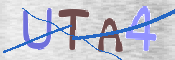 CAPTCHA (Şahıs Denetim Kodu) Resmi