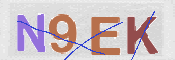 CAPTCHA (Şahıs Denetim Kodu) Resmi