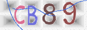 CAPTCHA (Şahıs Denetim Kodu) Resmi