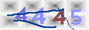 CAPTCHA (Şahıs Denetim Kodu) Resmi