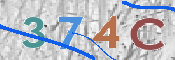 CAPTCHA (Şahıs Denetim Kodu) Resmi