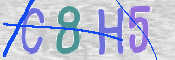 CAPTCHA (Şahıs Denetim Kodu) Resmi