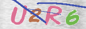 CAPTCHA (Şahıs Denetim Kodu) Resmi