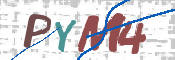 CAPTCHA (Şahıs Denetim Kodu) Resmi