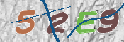 CAPTCHA (Şahıs Denetim Kodu) Resmi