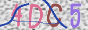 CAPTCHA (Şahıs Denetim Kodu) Resmi