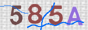 CAPTCHA (Şahıs Denetim Kodu) Resmi
