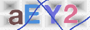 CAPTCHA (Şahıs Denetim Kodu) Resmi