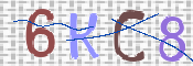 CAPTCHA (Şahıs Denetim Kodu) Resmi