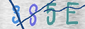 CAPTCHA (Şahıs Denetim Kodu) Resmi