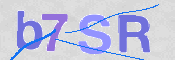 CAPTCHA (Şahıs Denetim Kodu) Resmi