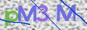 CAPTCHA (Şahıs Denetim Kodu) Resmi