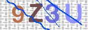 CAPTCHA (Şahıs Denetim Kodu) Resmi