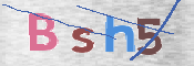 CAPTCHA (Şahıs Denetim Kodu) Resmi