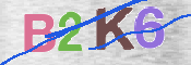 CAPTCHA (Şahıs Denetim Kodu) Resmi