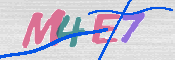 CAPTCHA (Şahıs Denetim Kodu) Resmi