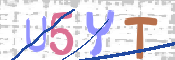 CAPTCHA (Şahıs Denetim Kodu) Resmi