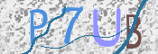 CAPTCHA (Şahıs Denetim Kodu) Resmi