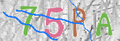 CAPTCHA (Şahıs Denetim Kodu) Resmi