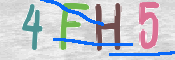 CAPTCHA (Şahıs Denetim Kodu) Resmi