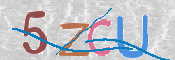 CAPTCHA (Şahıs Denetim Kodu) Resmi