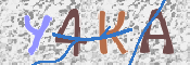 CAPTCHA (Şahıs Denetim Kodu) Resmi
