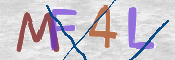 CAPTCHA (Şahıs Denetim Kodu) Resmi