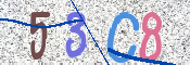 CAPTCHA (Şahıs Denetim Kodu) Resmi