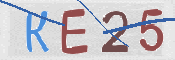CAPTCHA (Şahıs Denetim Kodu) Resmi