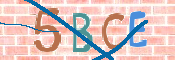 CAPTCHA (Şahıs Denetim Kodu) Resmi
