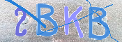 CAPTCHA (Şahıs Denetim Kodu) Resmi