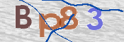 CAPTCHA (Şahıs Denetim Kodu) Resmi