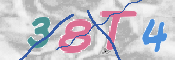 CAPTCHA (Şahıs Denetim Kodu) Resmi