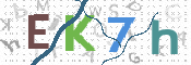 CAPTCHA (Şahıs Denetim Kodu) Resmi