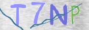 CAPTCHA (Şahıs Denetim Kodu) Resmi