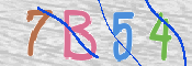 CAPTCHA (Şahıs Denetim Kodu) Resmi