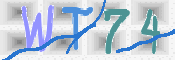 CAPTCHA (Şahıs Denetim Kodu) Resmi
