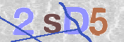 CAPTCHA (Şahıs Denetim Kodu) Resmi