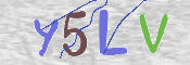 CAPTCHA (Şahıs Denetim Kodu) Resmi