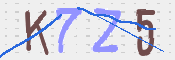 CAPTCHA (Şahıs Denetim Kodu) Resmi
