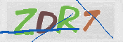 CAPTCHA (Şahıs Denetim Kodu) Resmi