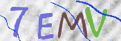 CAPTCHA (Şahıs Denetim Kodu) Resmi