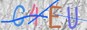 CAPTCHA (Şahıs Denetim Kodu) Resmi