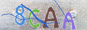 CAPTCHA (Şahıs Denetim Kodu) Resmi