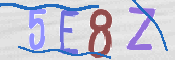 CAPTCHA (Şahıs Denetim Kodu) Resmi