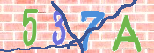 CAPTCHA (Şahıs Denetim Kodu) Resmi