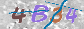 CAPTCHA (Şahıs Denetim Kodu) Resmi