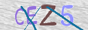 CAPTCHA (Şahıs Denetim Kodu) Resmi