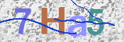 CAPTCHA (Şahıs Denetim Kodu) Resmi