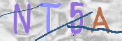 CAPTCHA (Şahıs Denetim Kodu) Resmi